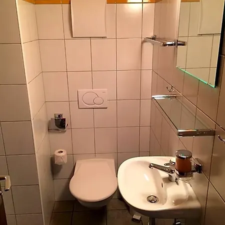 Gruppenhaus Im Walliser Alpstyle Hotel Ernen